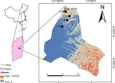 Heavy metal contamination assessment and probabilistic health risks in soil and maize near coal mines